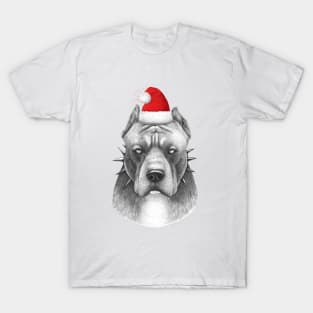 Winter pitbull T-Shirt